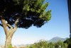 Bed and Breakfast Il Pino Verde Pompei